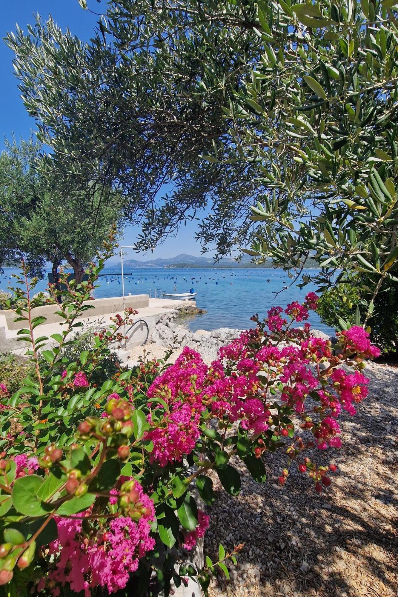 Apartments By The Sea Zuronja, Peljesac - 13202 Putnikovic ภายนอก รูปภาพ